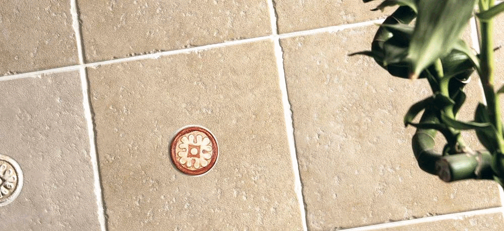 img4.gif